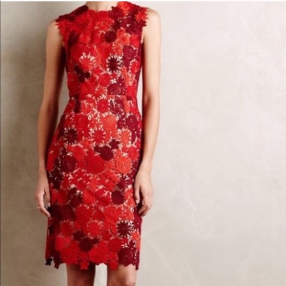 Anthropologie Dresses & Skirts - Anthropologie HD Paris Lace Garden Pencil Dress